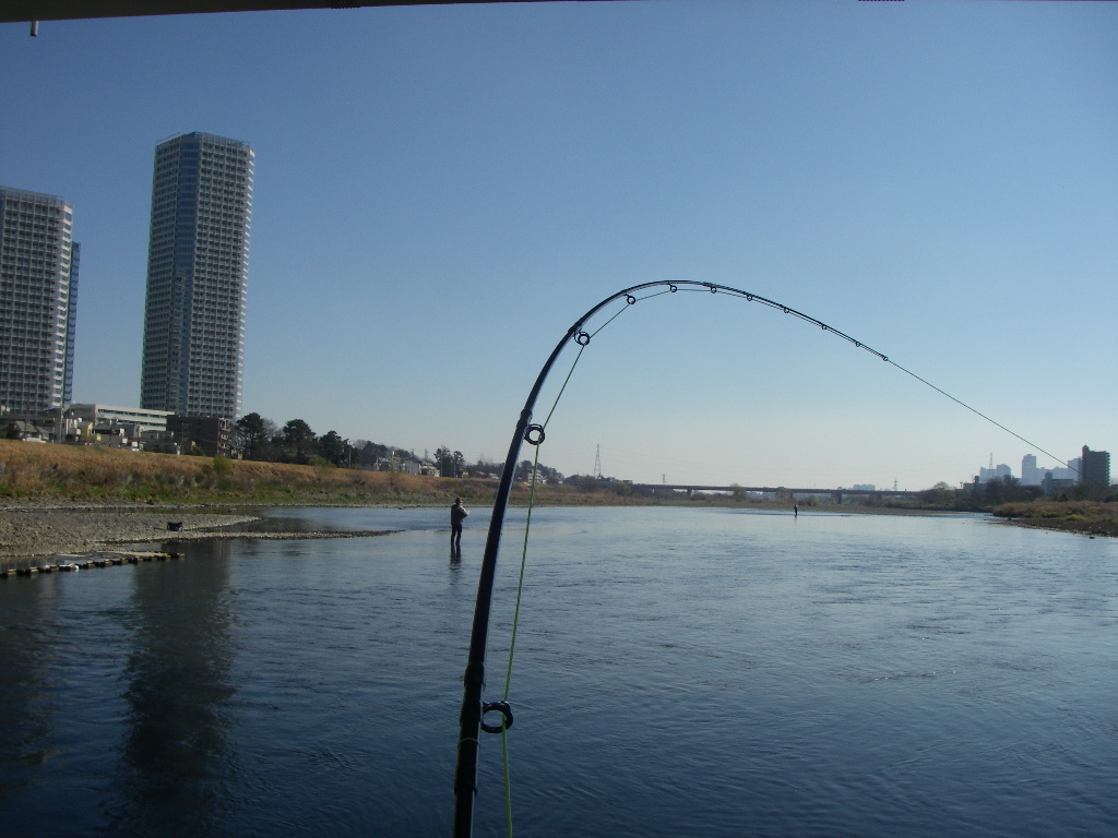 a0130057_20405086.jpg