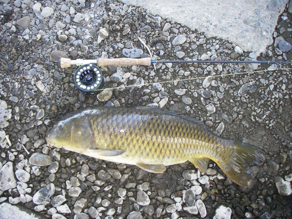 a0130057_20492010.jpg