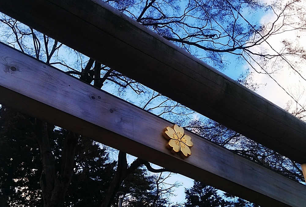 成人の日の前日。 神社、神社、スープカレー、神社_d0039059_21140003.jpg