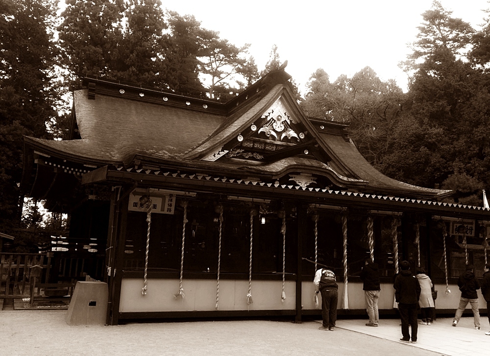 成人の日の前日。 神社、神社、スープカレー、神社_d0039059_21142158.jpg