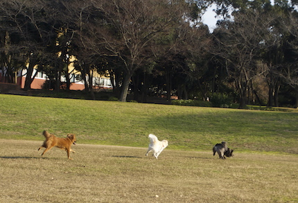 f0054859_15584175.jpg