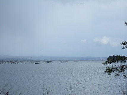 能登中島へ―かき貝_f0062159_21232227.jpg