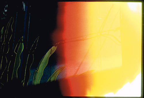 d0253060_21593566.png