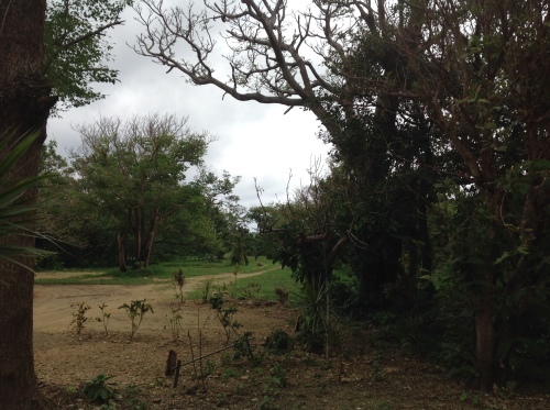 b0153663_14353197.jpeg
