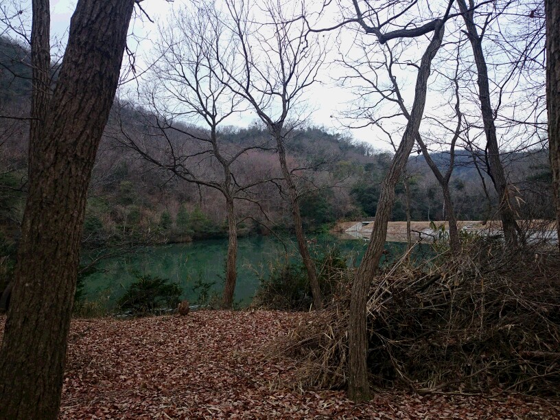 c0260463_8361696.jpg