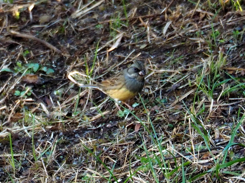 f0208666_1052110.jpg