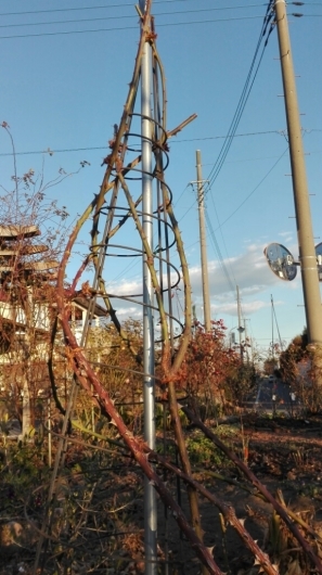 e0356469_16435435.jpg