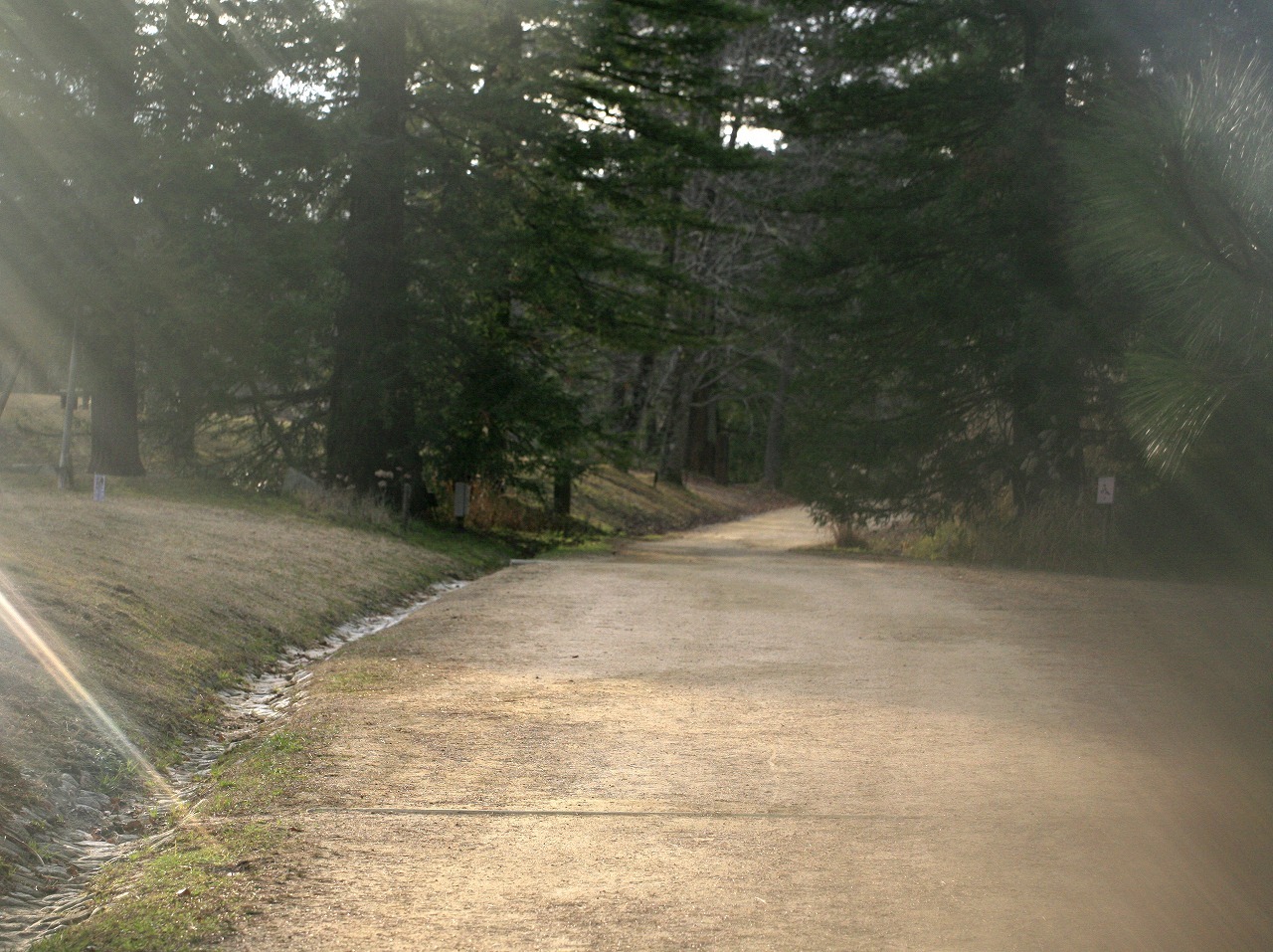 c0362972_19324351.jpg