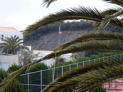 a0238278_15460538.gif