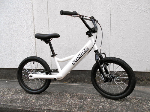 帰って来たSUPER STRIDER 16_b0189682_15185030.jpg