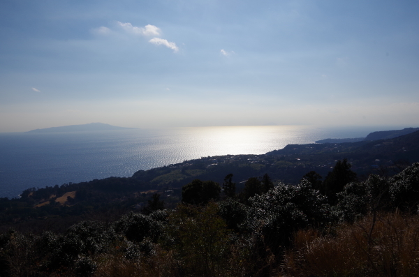 c0324382_20423917.jpg