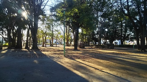 e0020682_19442523.jpg