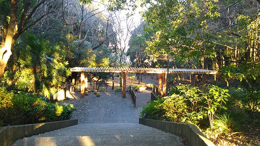 e0020682_19554715.jpg