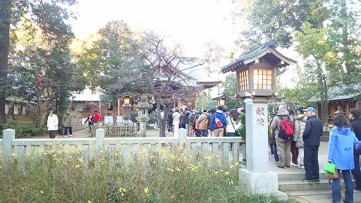 e0020682_1957539.jpg