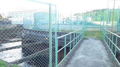 e0020682_1957572.jpg