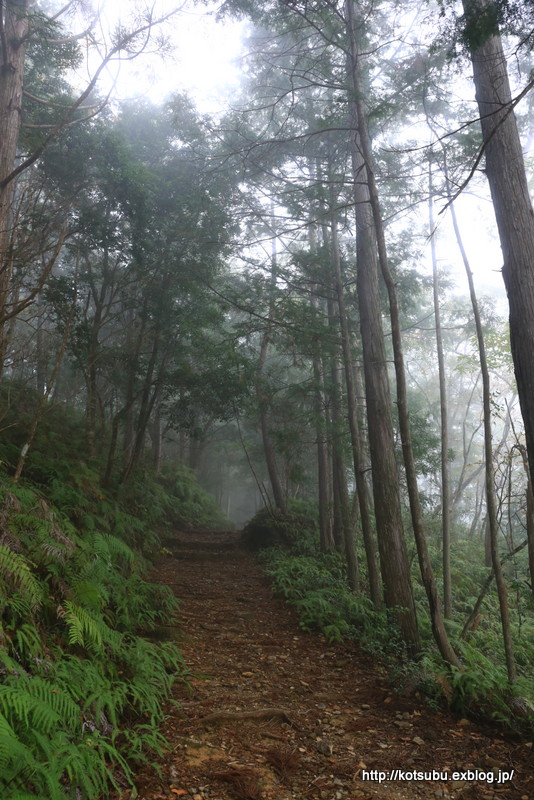 熊野古道 一人旅～⑥ 中辺路 小雲取越え Ⅰ_e0195587_155154.jpg