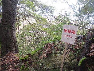 山城址・周回　つづき_a0104890_23514367.jpg