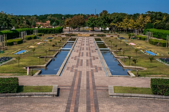 e0176993_07242838.jpg