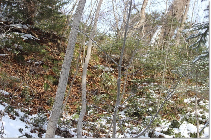 f0146493_23561251.jpg