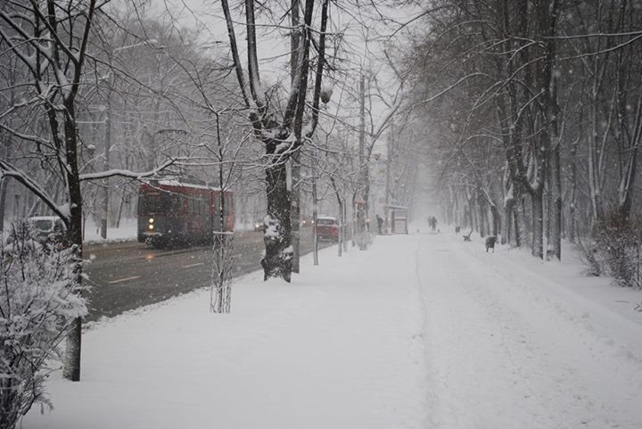 冬の雪のルーマニアより_c0042797_0111891.jpg