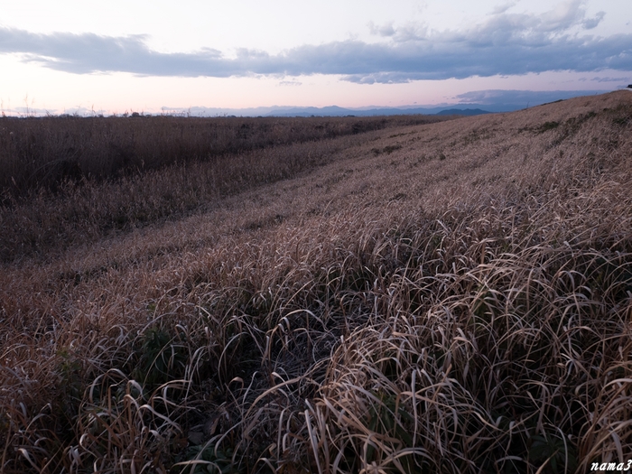 f0224100_12301364.jpg