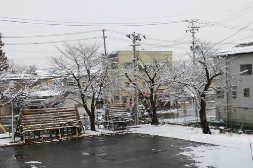 昼前の米沢キャンパス　1月11日（小寒・次候）　水泉温かを含む（しみず　あたたかを　ふくむ）・・・３_c0075701_1524316.jpg