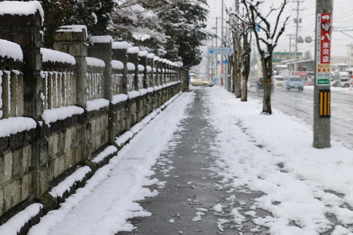 昼前の米沢キャンパス　1月11日（小寒・次候）　水泉温かを含む（しみず　あたたかを　ふくむ）・・・３_c0075701_1524427.jpg