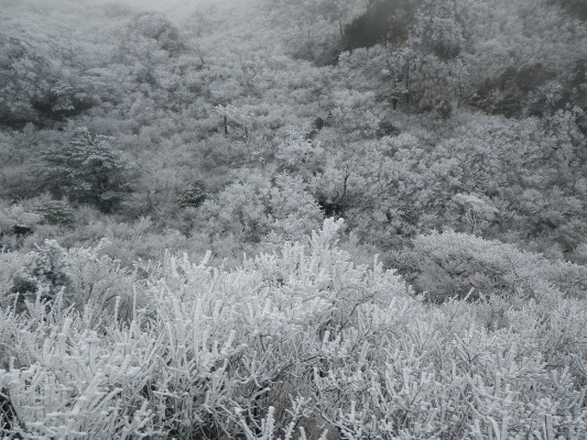 f0187402_10454252.jpg