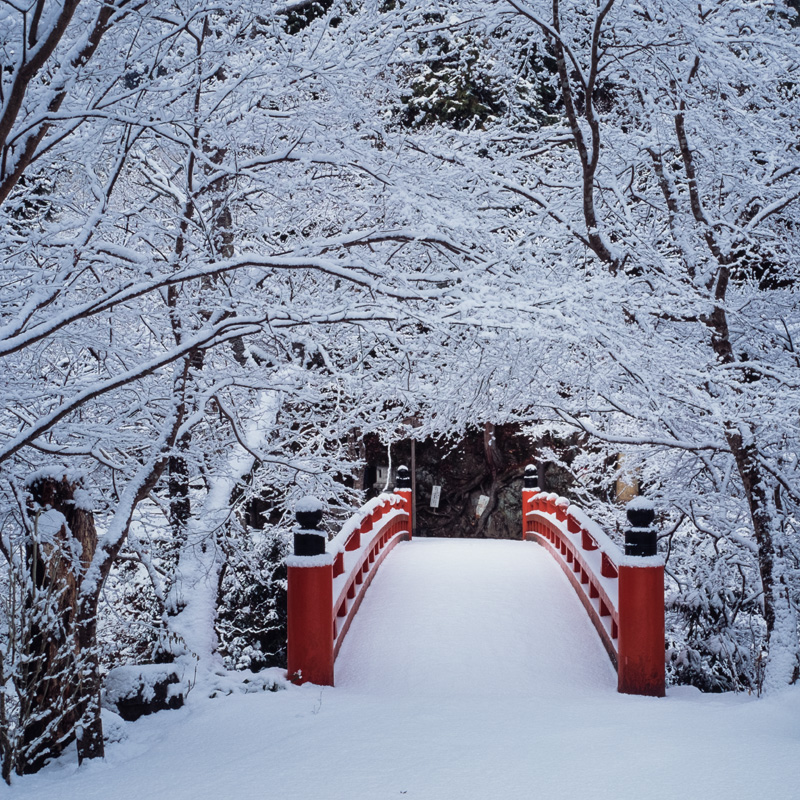 雪の京都 2006年 ～ 西明寺・指月橋 ～_b0221605_932617.jpg