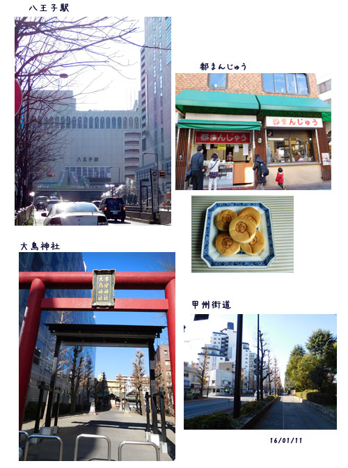 浅川沿いのウォーキング、庭のメジロ、葉から芽_c0051105_12572392.jpg