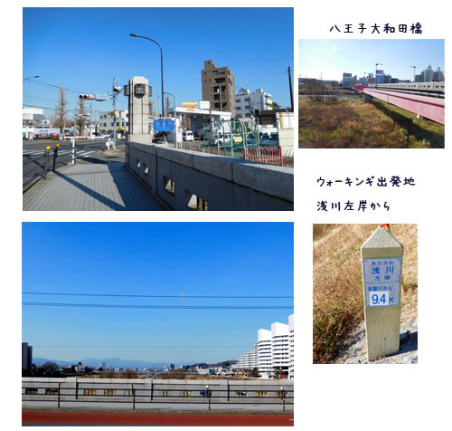 浅川沿いのウォーキング、庭のメジロ、葉から芽_c0051105_13351334.jpg
