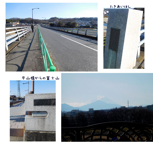浅川沿いのウォーキング、庭のメジロ、葉から芽_c0051105_14355420.jpg