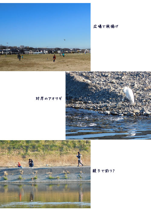 浅川沿いのウォーキング、庭のメジロ、葉から芽_c0051105_14494082.jpg