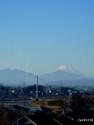 浅川沿いのウォーキング、庭のメジロ、葉から芽_c0051105_1541856.jpg
