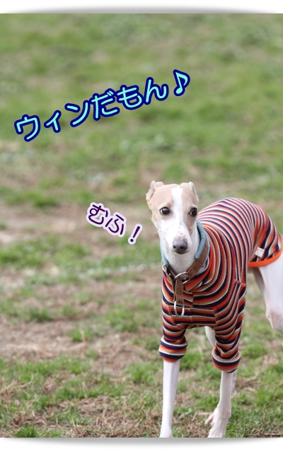 こんな奴らです♪(*^m^*)_e0100007_8211570.jpg