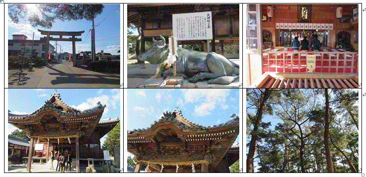 今治市の綱敷天満神社と志島ヶ原と梅林の様子…2016/1/10_f0231709_10144581.gif