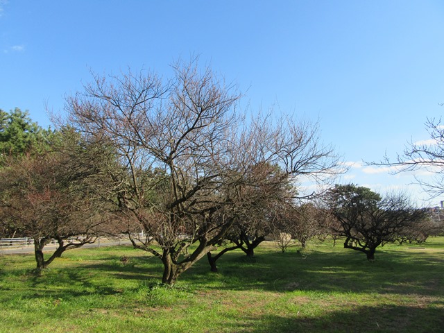 f0231709_10184495.jpg