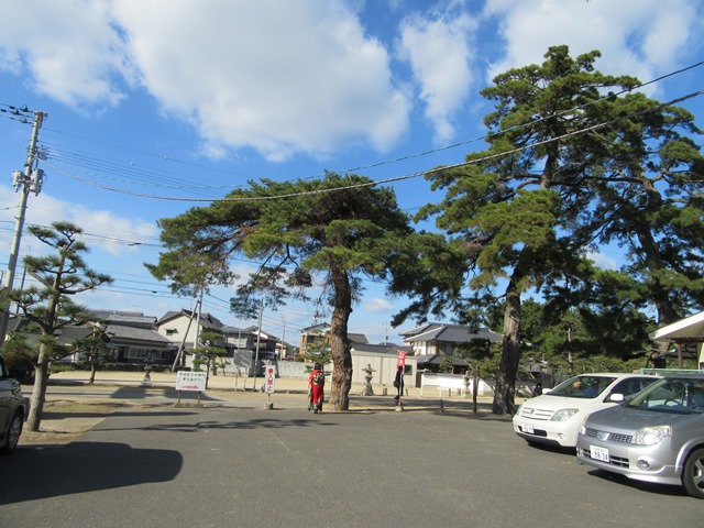 今治市の綱敷天満神社と志島ヶ原と梅林の様子…2016/1/10_f0231709_10471827.jpg