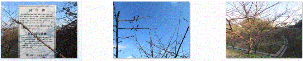 f0231709_12594459.gif