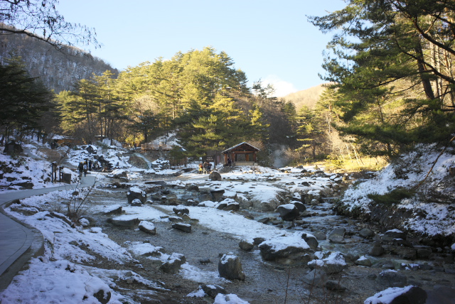 d0143011_11404770.jpg