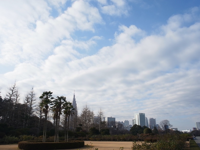 新宿御苑の風景_e0276411_2301594.jpg