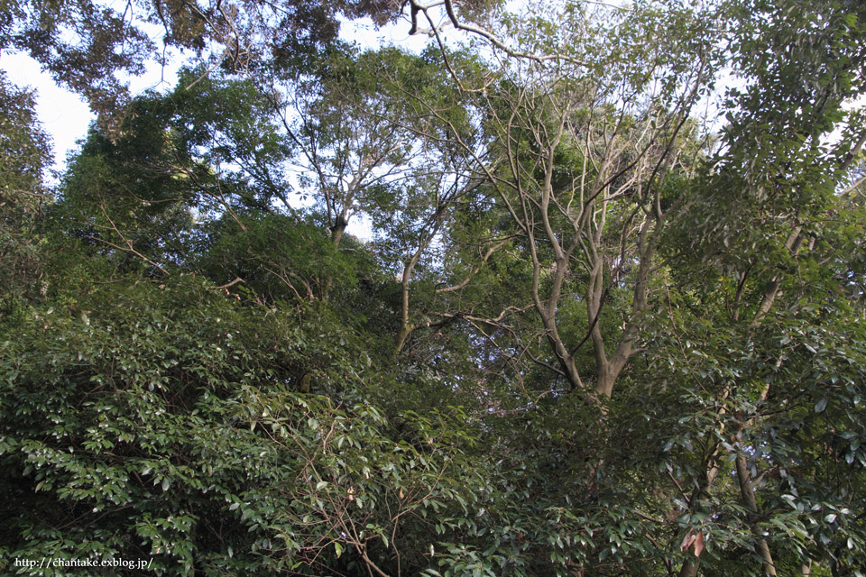 c0189013_8573382.jpg