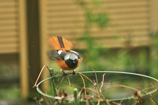 d0025414_0282025.jpg