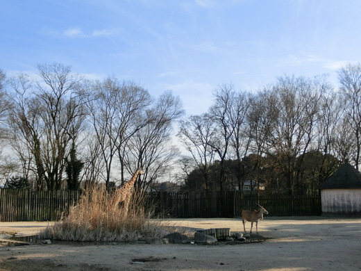 d0221319_2039355.jpg