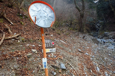 f0193521_8463440.jpg