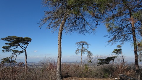 e0202031_2248297.jpg
