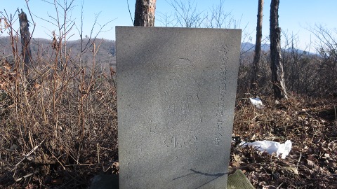 e0202031_2248532.jpg