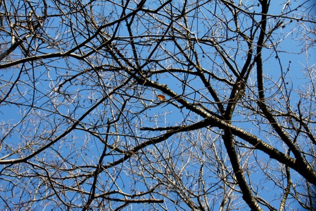 f0348831_19223420.jpg