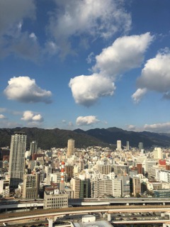 ベニマン苺フェア　雪うさぎのパフェ　神戸散策_e0134337_614724.jpg