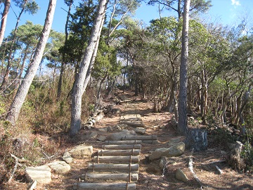 c0077338_1942330.jpg
